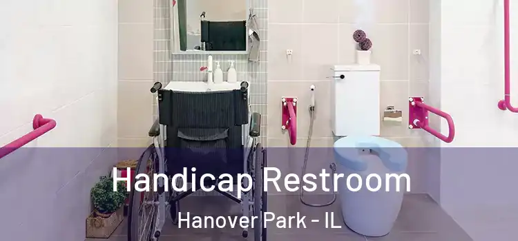  Handicap Restroom Hanover Park - IL