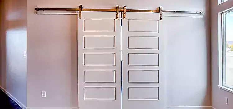 Glass Barn Door with Installation Hardware Kit Hanover Park
