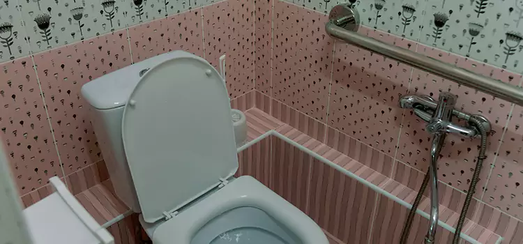 Meeting Diverse Needs With Accessible Restroom Solutions in Hanover Park, IL