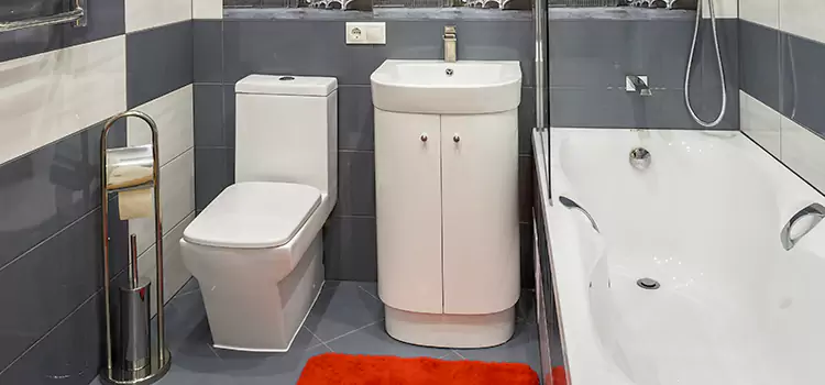 Hansgrohe Shaving Mirror Hanover Park